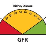 Kidney Disease Education Lesson Builder