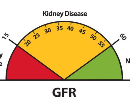 Kidney Disease Education Lesson Builder