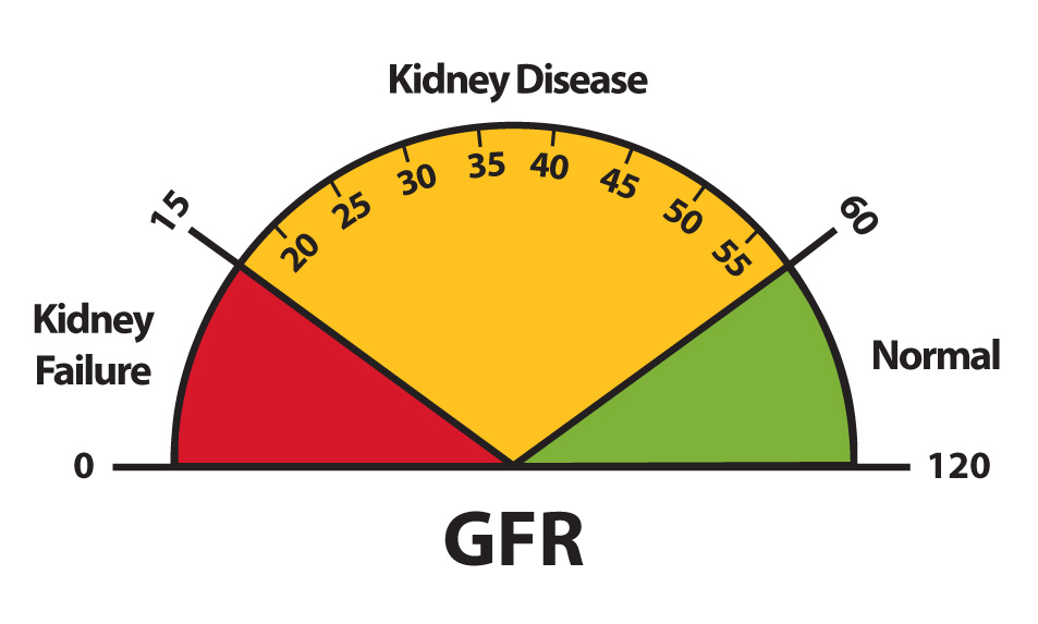 Kidney Disease Education Lesson Builder