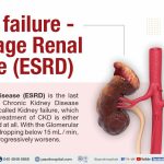 What is Kidney Failure?