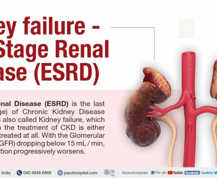 What is Kidney Failure?