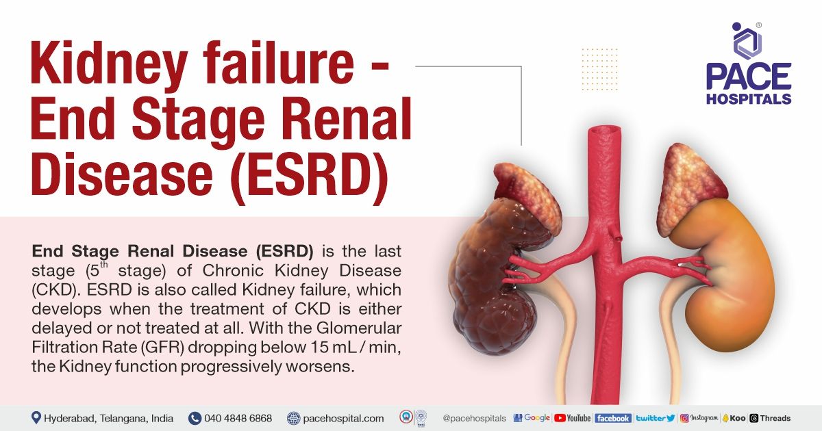 What is Kidney Failure?