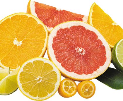 Citrus Fruits A Zesty Boost for Your Health