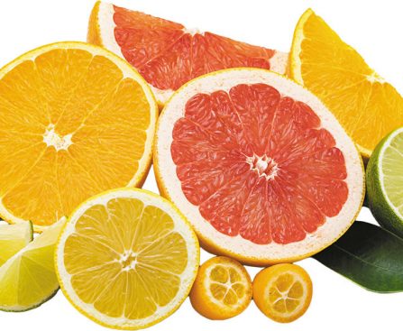 Citrus Fruits A Zesty Boost for Your Health