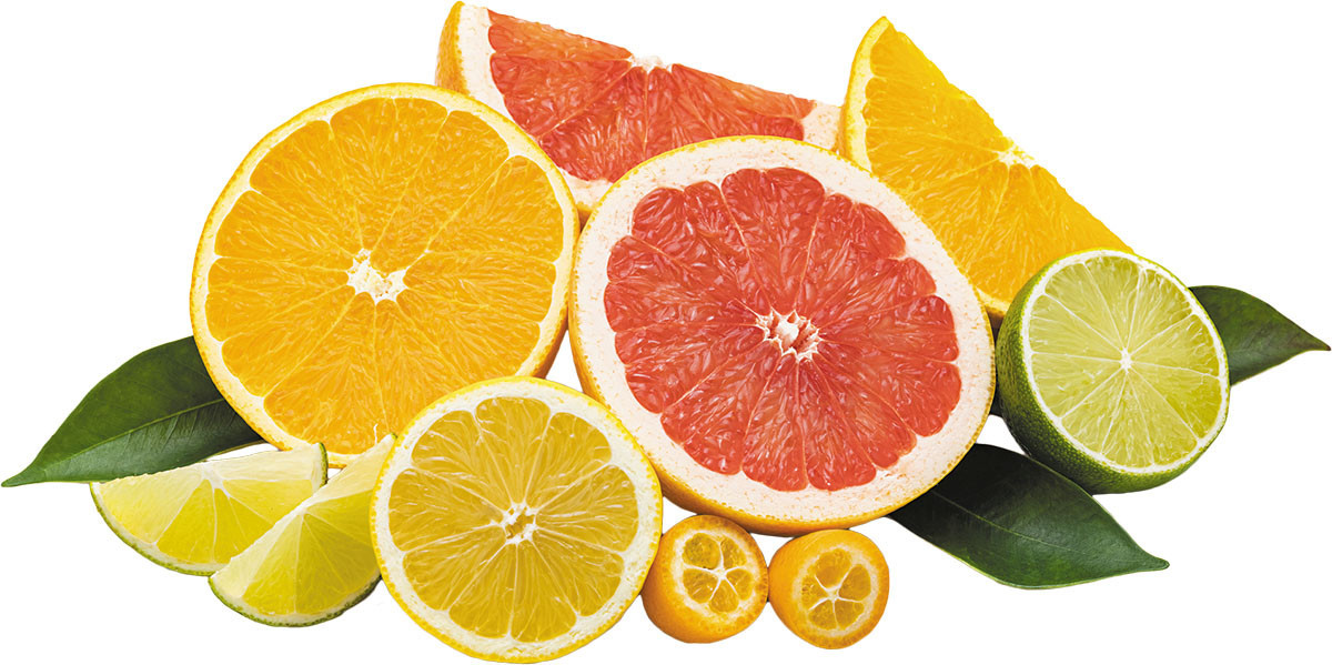 Citrus Fruits A Zesty Boost for Your Health