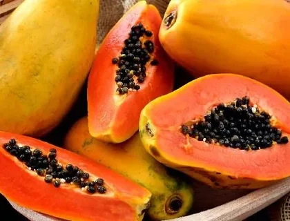 Papayas A Tropical Delight